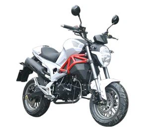 12 वी 24 वी 48 वी इलेक्ट्रिक मोटरसाइकिल