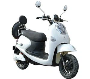 48v इलेक्ट्रिक स्कूटर